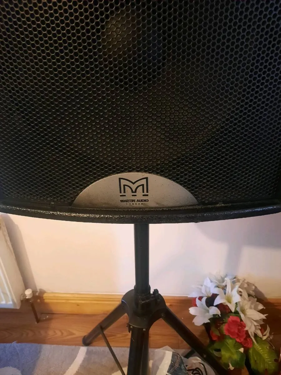 Martin Audio Black Line F15+Power Amplifier Crown - Image 3