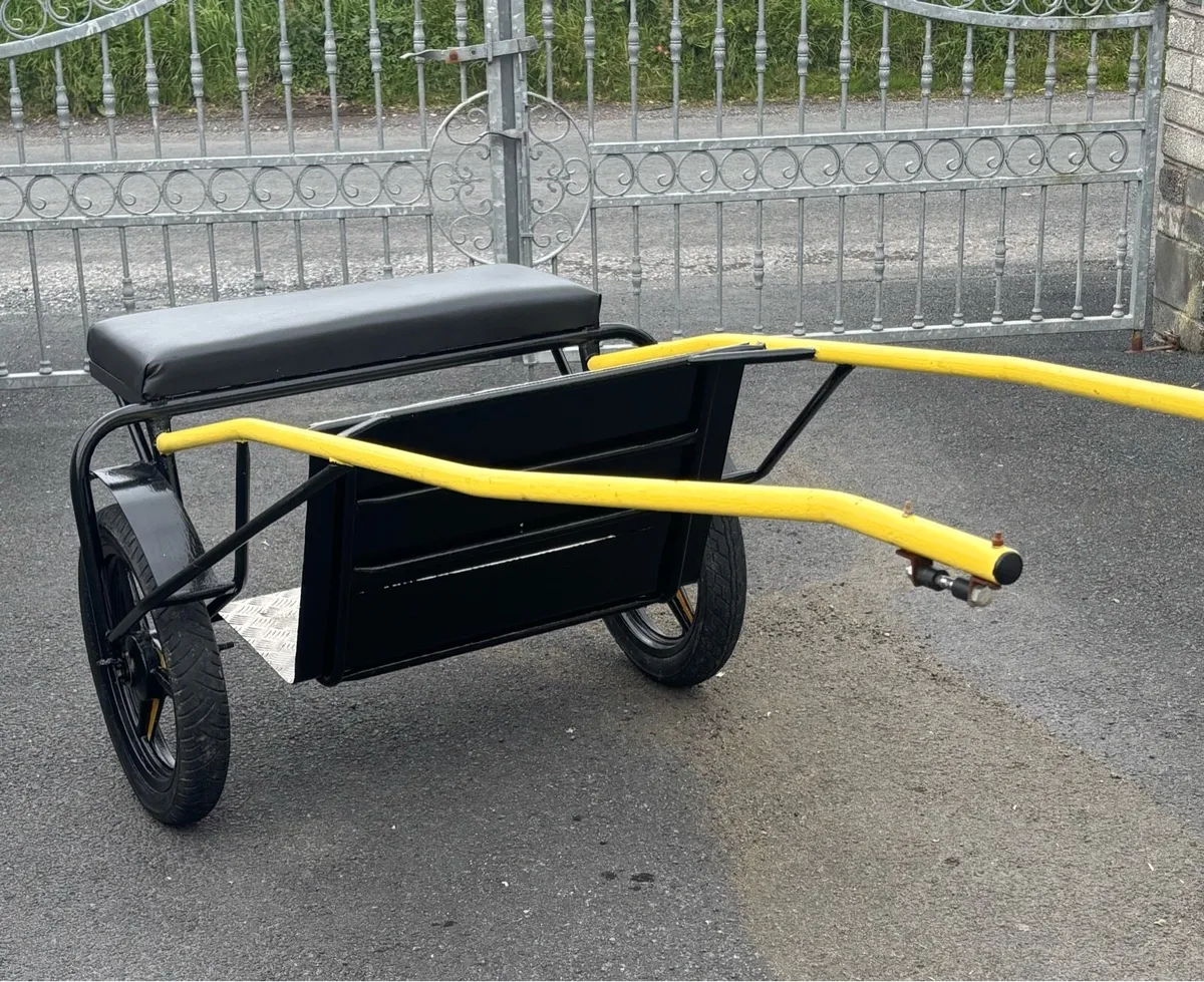 Brand new Pony Speed Cart - Image 1