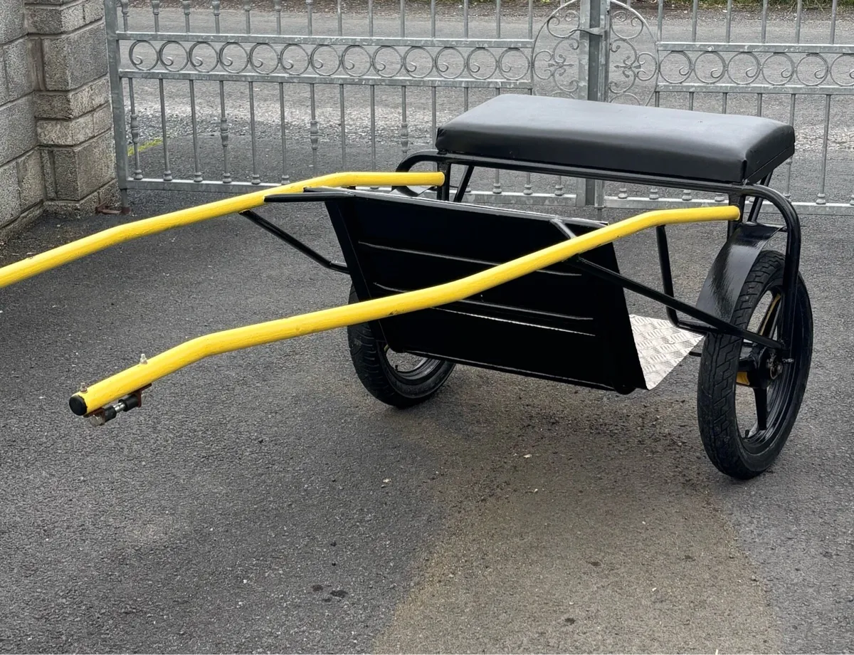 Brand new Pony Speed Cart - Image 2