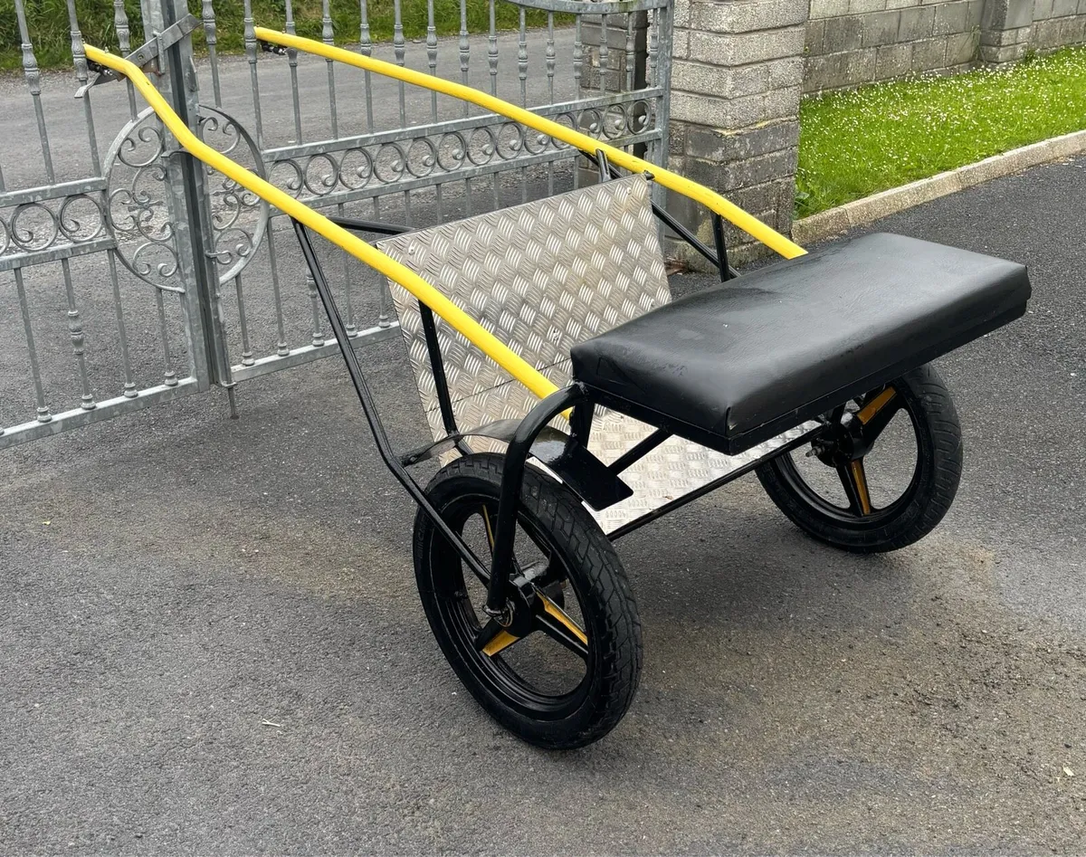 Brand new Pony Speed Cart - Image 4