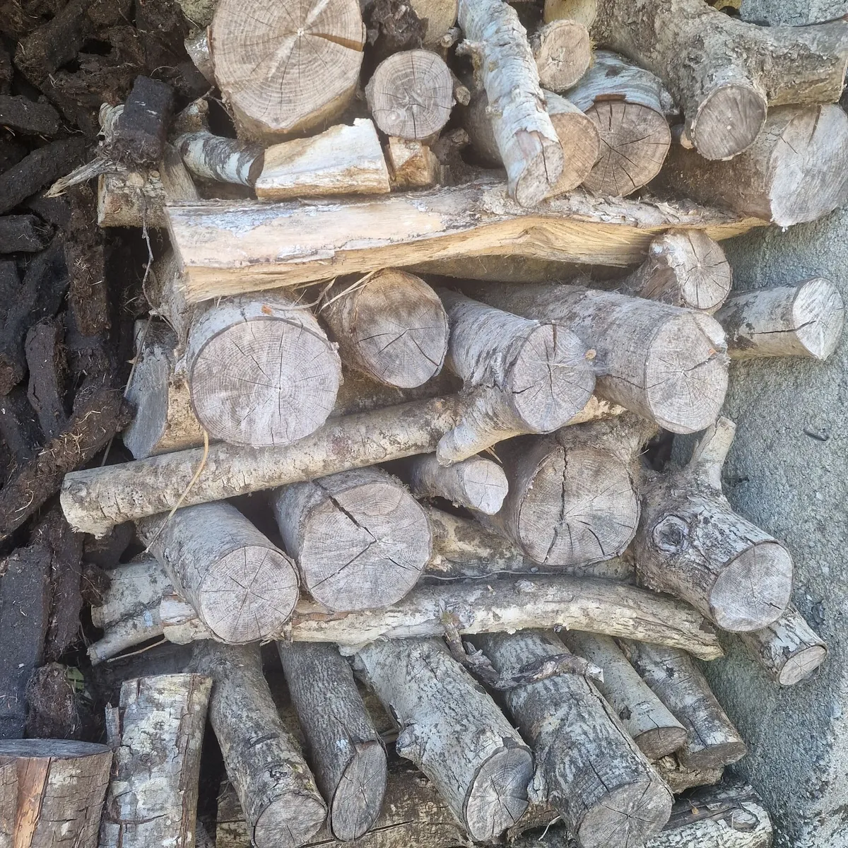 Ash and beech fire wood - Image 1