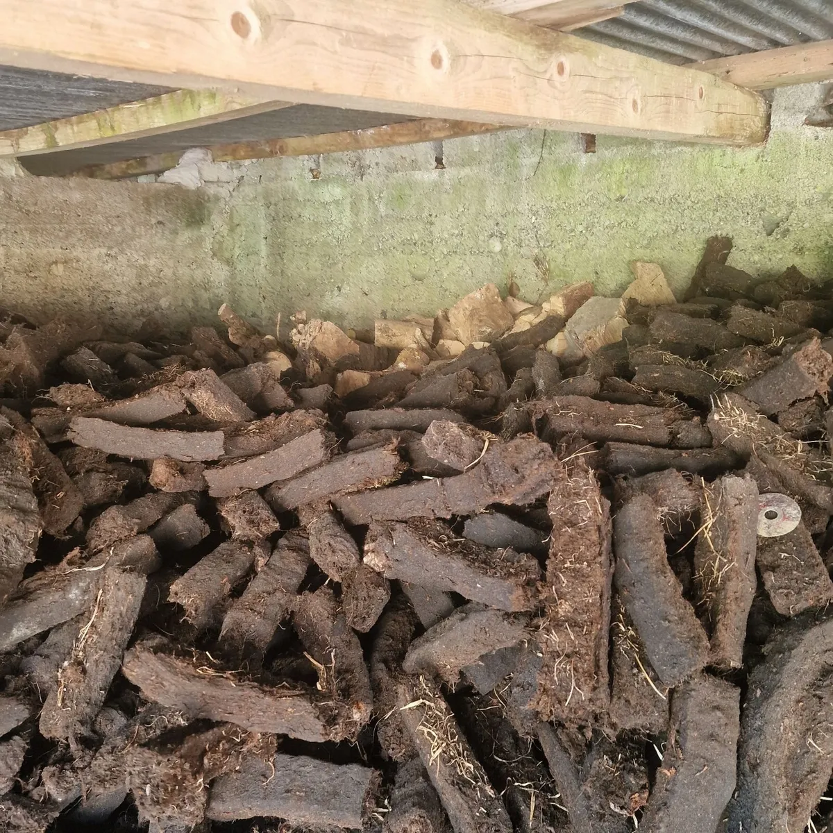 Ash and beech fire wood - Image 4