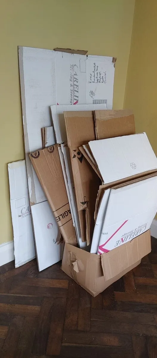 Cardboard boxes