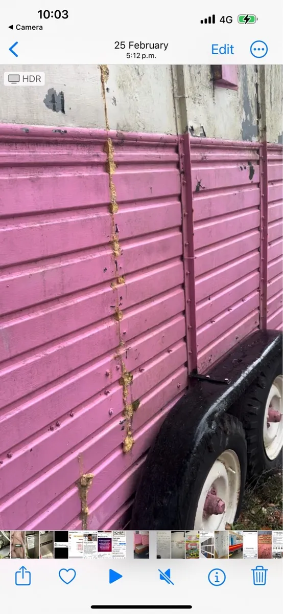 Rice horse box - Image 4
