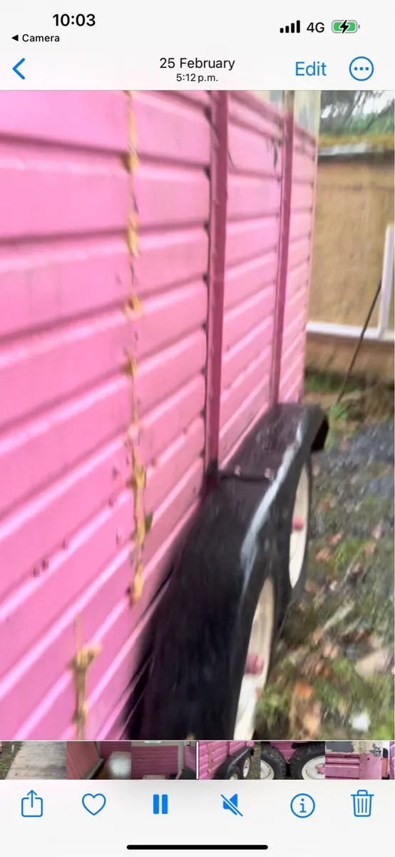 Rice horse box - Image 1