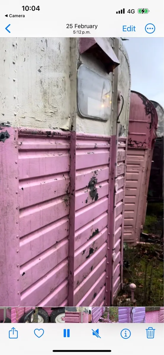 Rice horse box - Image 2