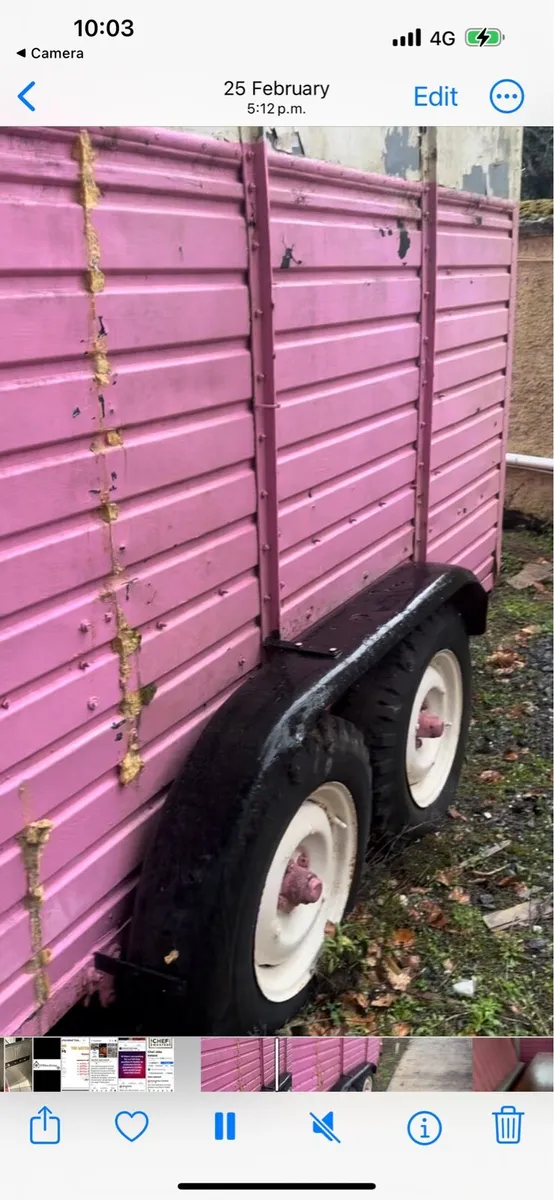 Rice horse box - Image 3
