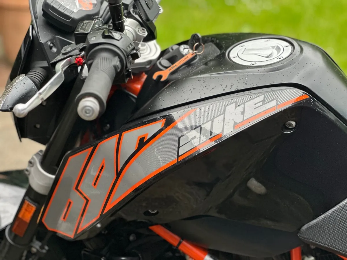 KTM 690 Duke 2012 - Image 2