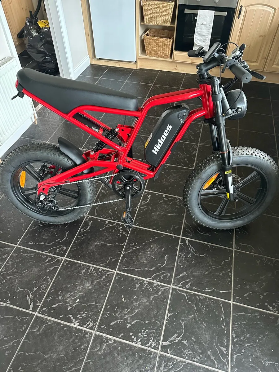 Hidoes B6 Electric Bike - Image 1