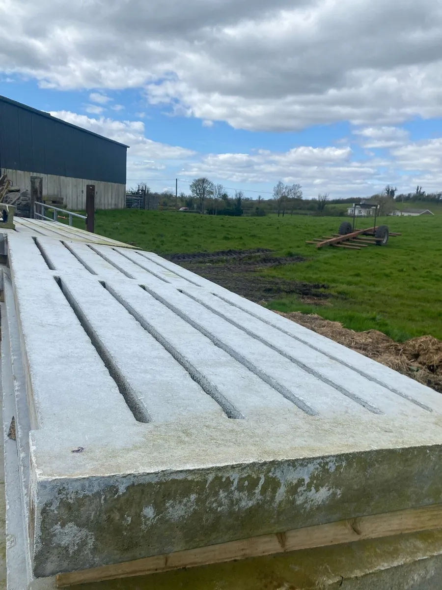 Used cattle slats - Image 1