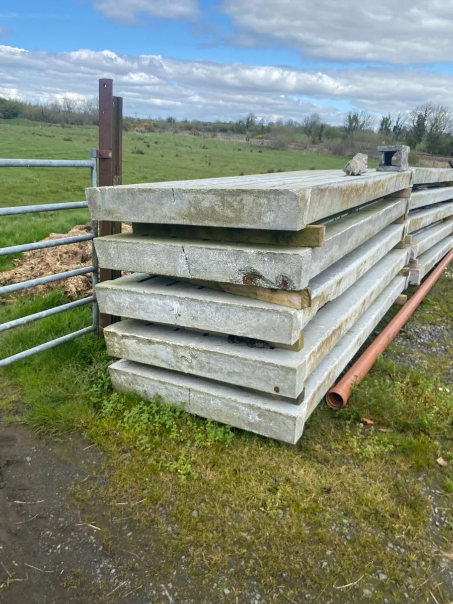 Used cattle slats - Image 2
