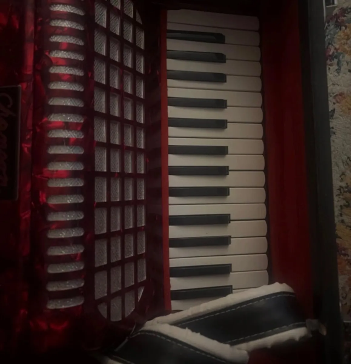 Chamoon/ Chanson Piano Accordian - Image 4
