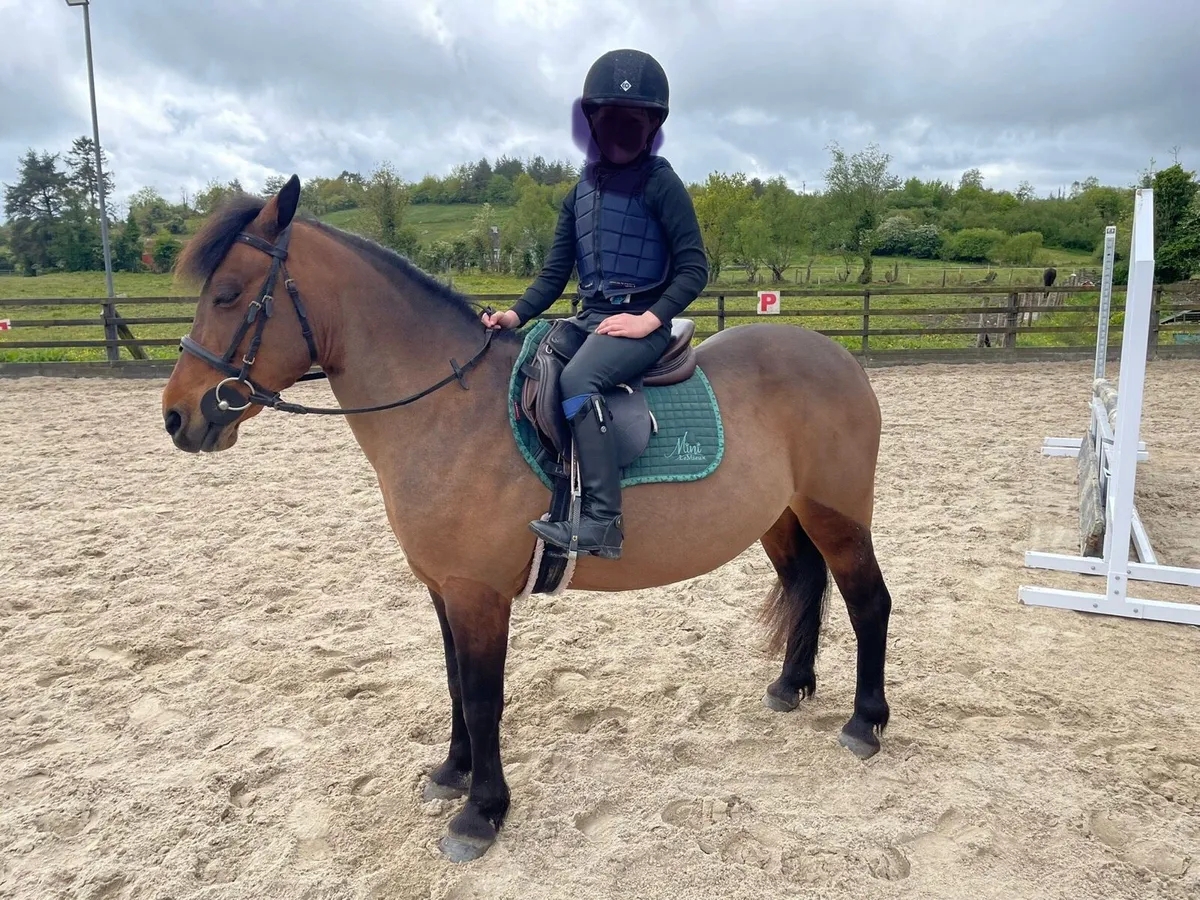 128cm schoolmaster - Image 2