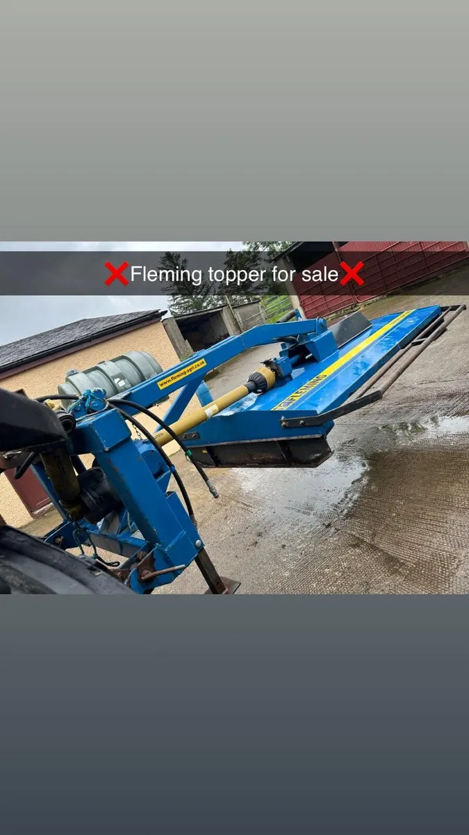 8ft Fleming topper - Image 1