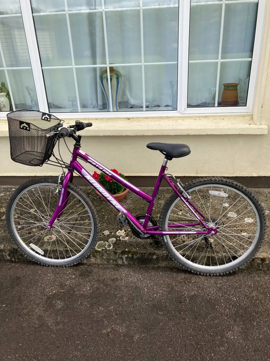 Girls bike