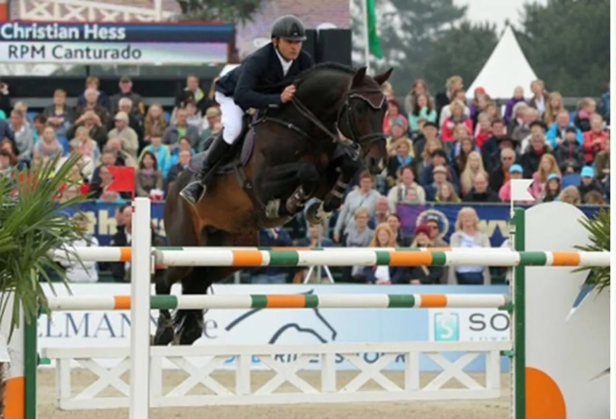 Canturado at stud - Image 2
