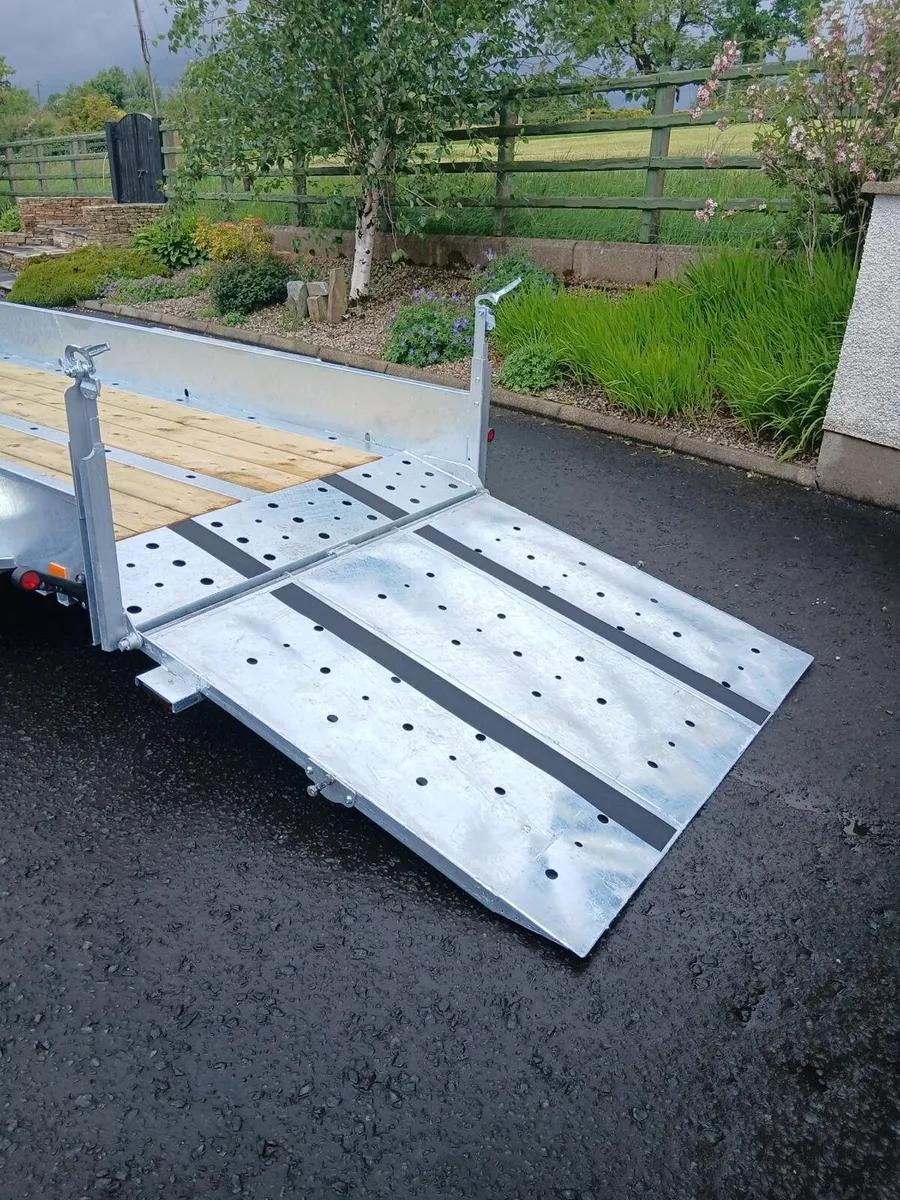 Dale Kane Plant trailer - Image 2