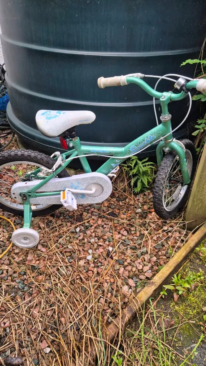 Apollo kids bike child bicycle