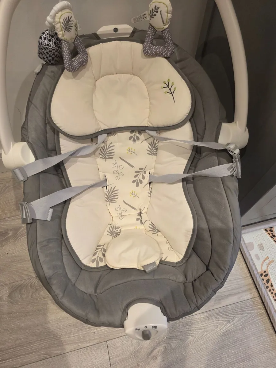 Joie Emeri 2-in-1 Baby Swing and Rocker Fern - Image 3
