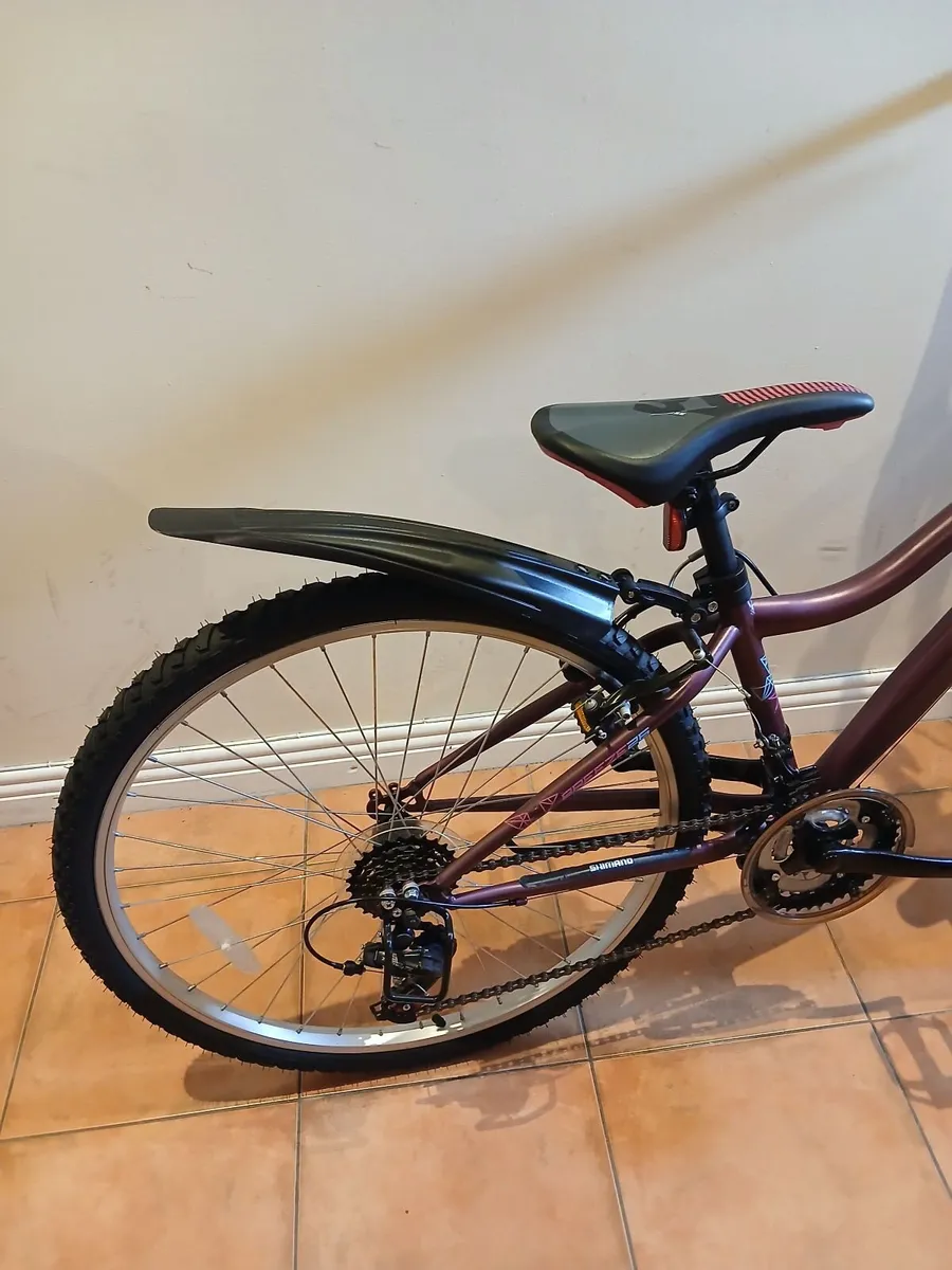 Bicycle - Image 2