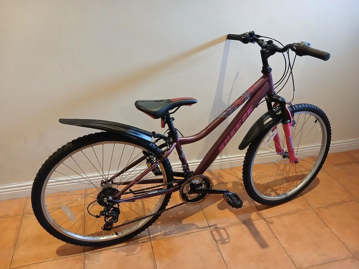Bicycle - Image 1