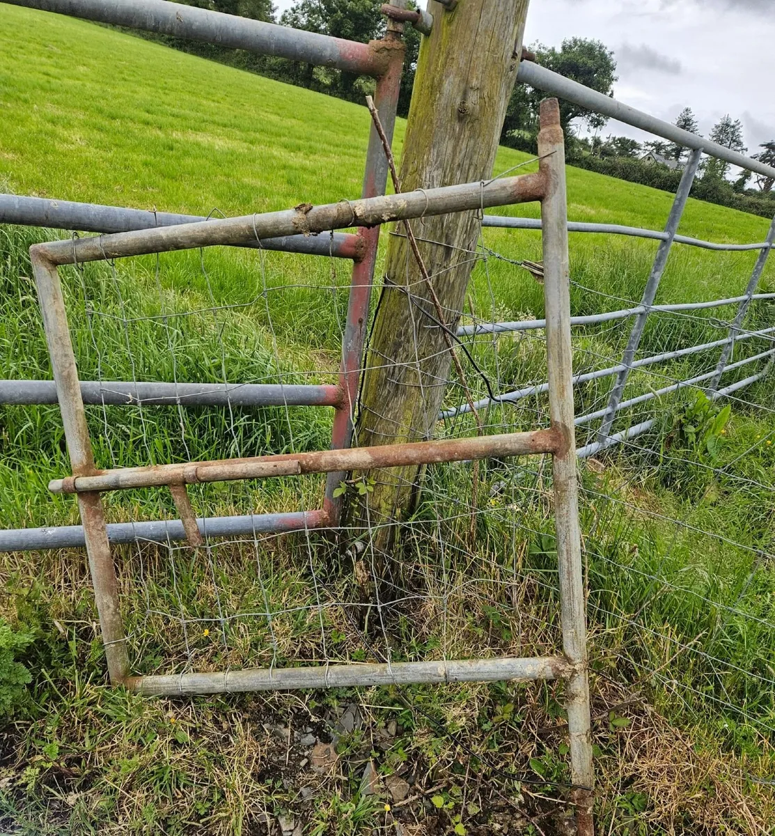 Feed barrier + gates - Image 1