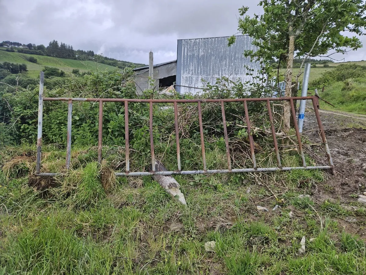 Feed barrier + gates - Image 3