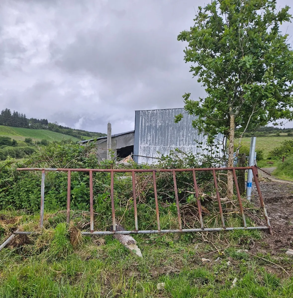 Feed barrier + gates - Image 4