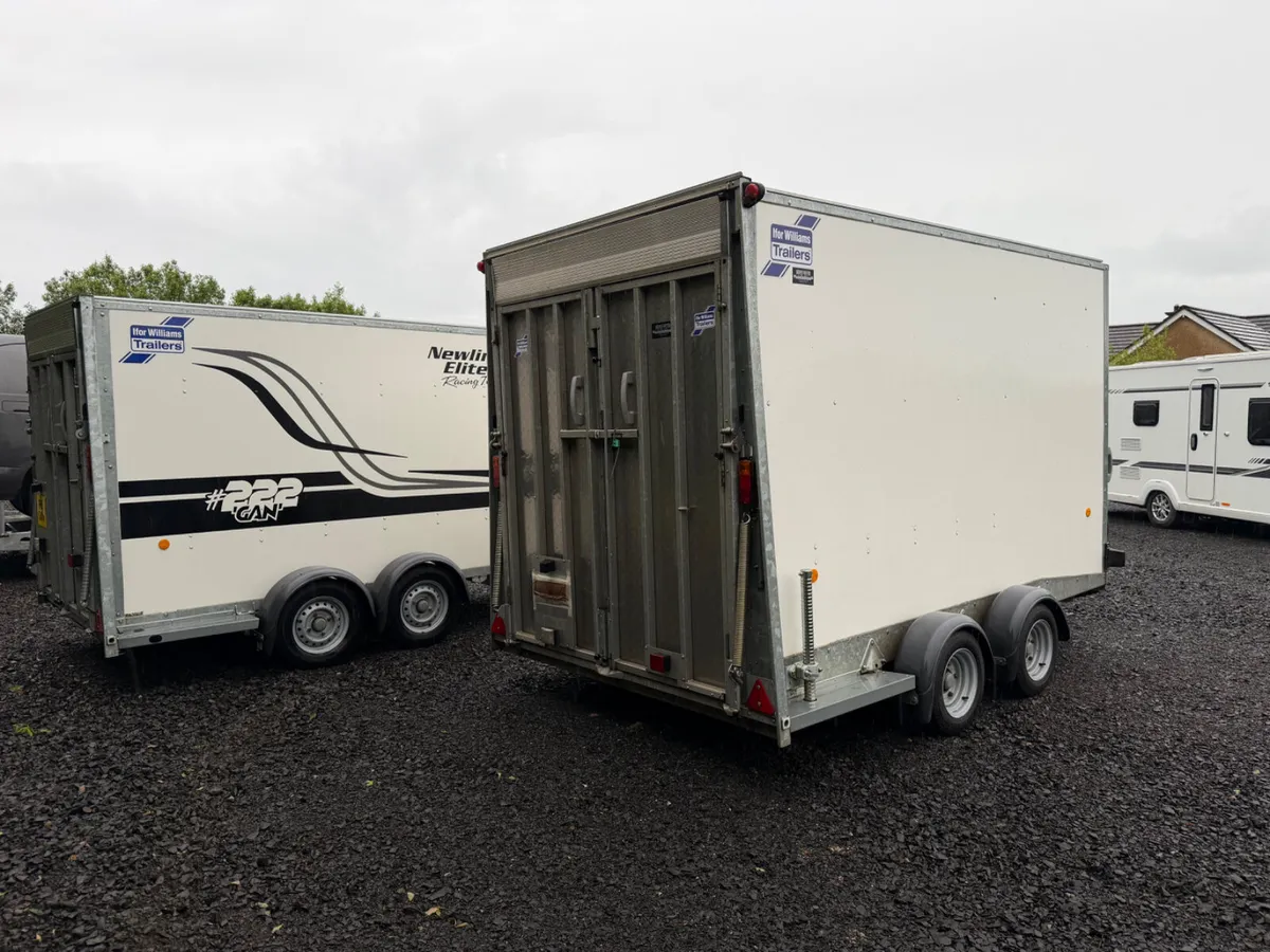 Trailer Ifor williams - Image 4