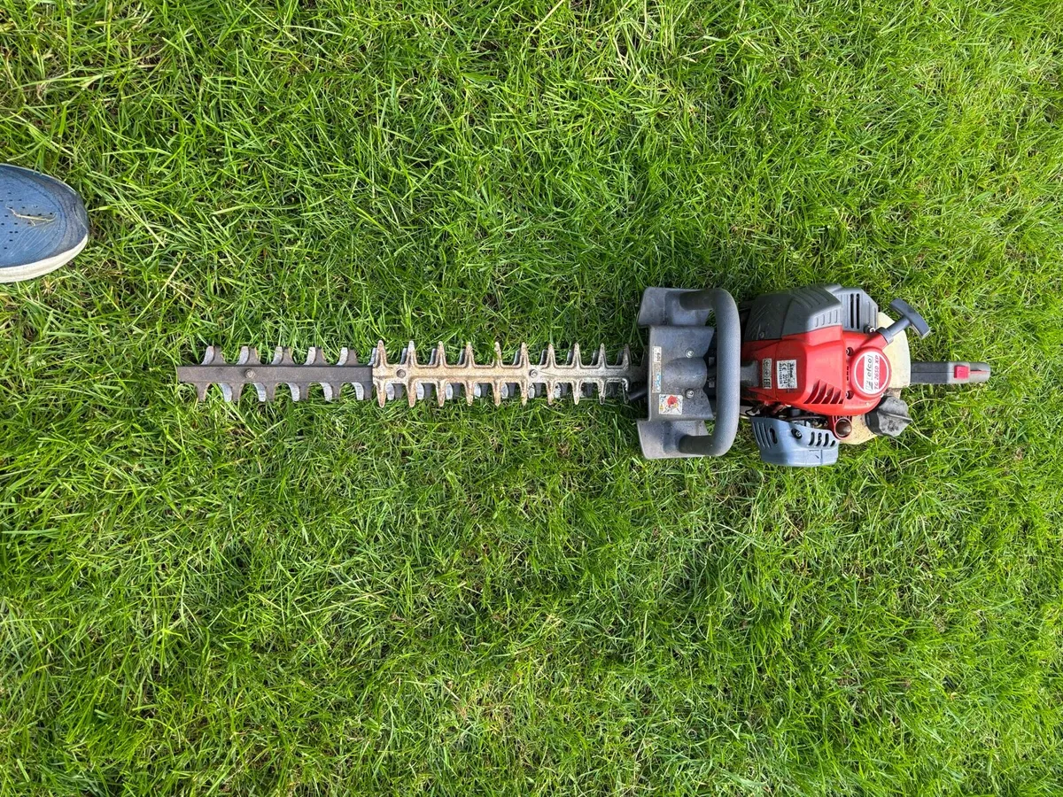 Petrol hedge cutter