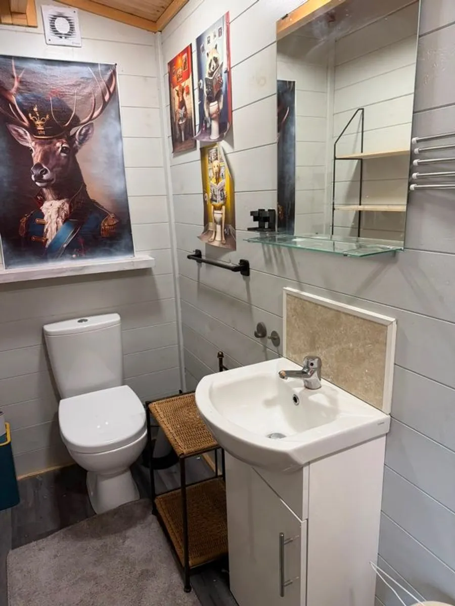 Home cabin - Image 4