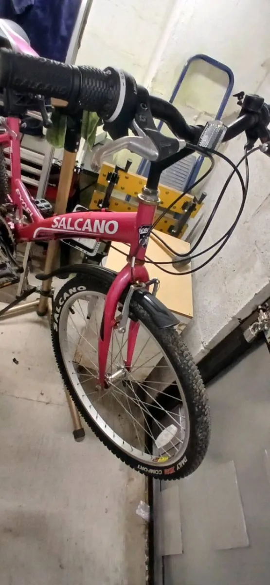 Girls Bike - Image 4