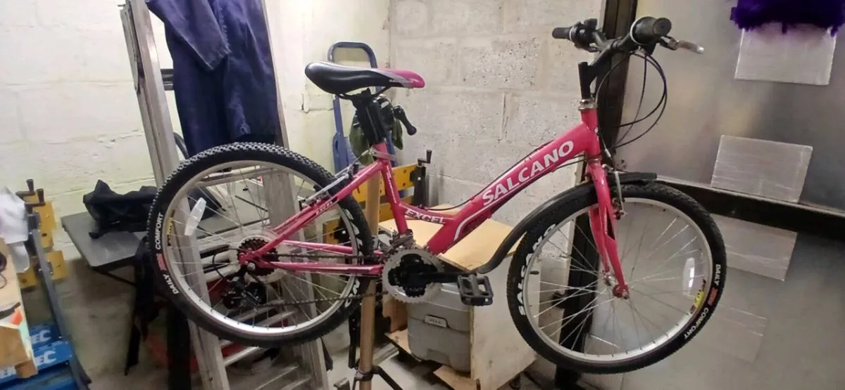 Girls Bike - Image 1