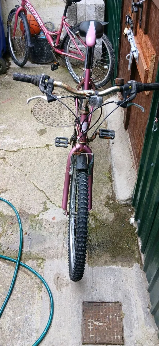 Girls Bike - Image 3