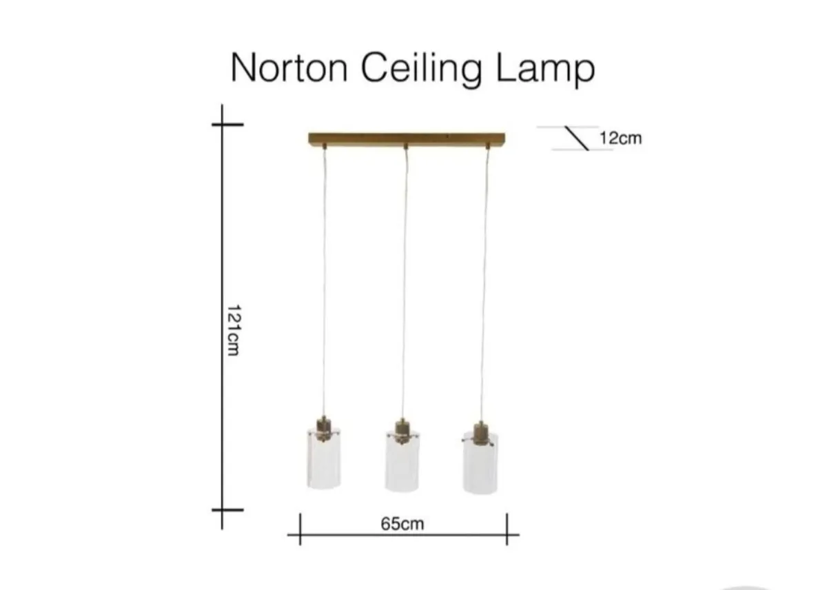 Ceiling Light Fixture (EZ Living) - Image 4