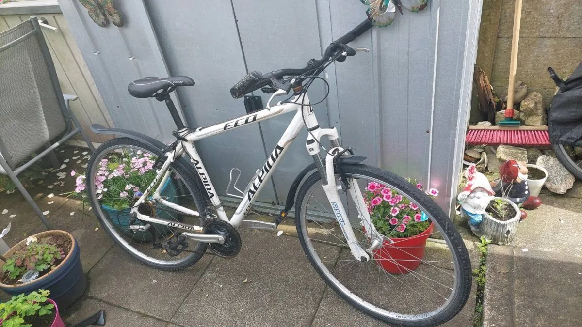 Alpina C20 Eco - Image 1