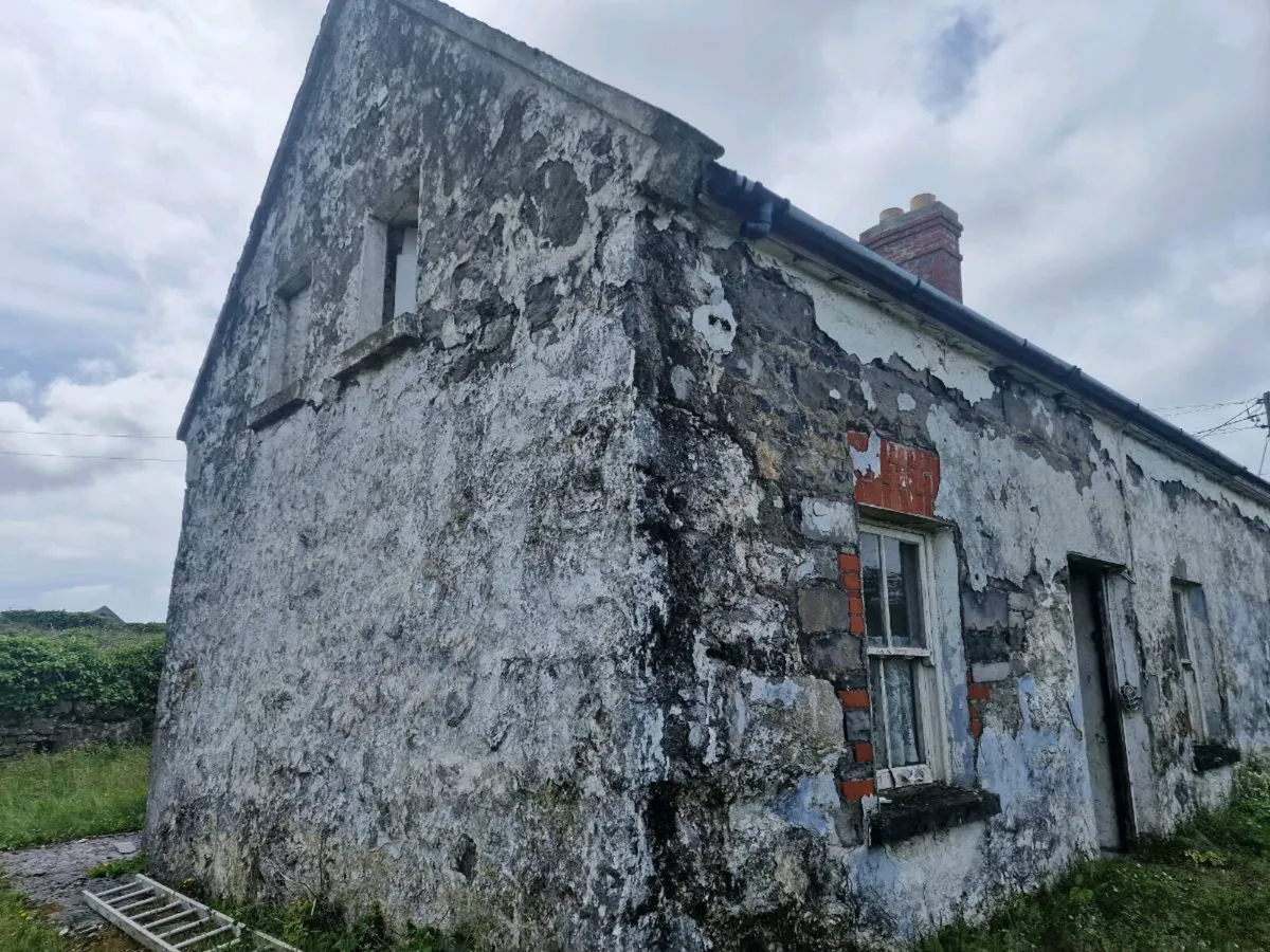 DantX Construction - Image 1