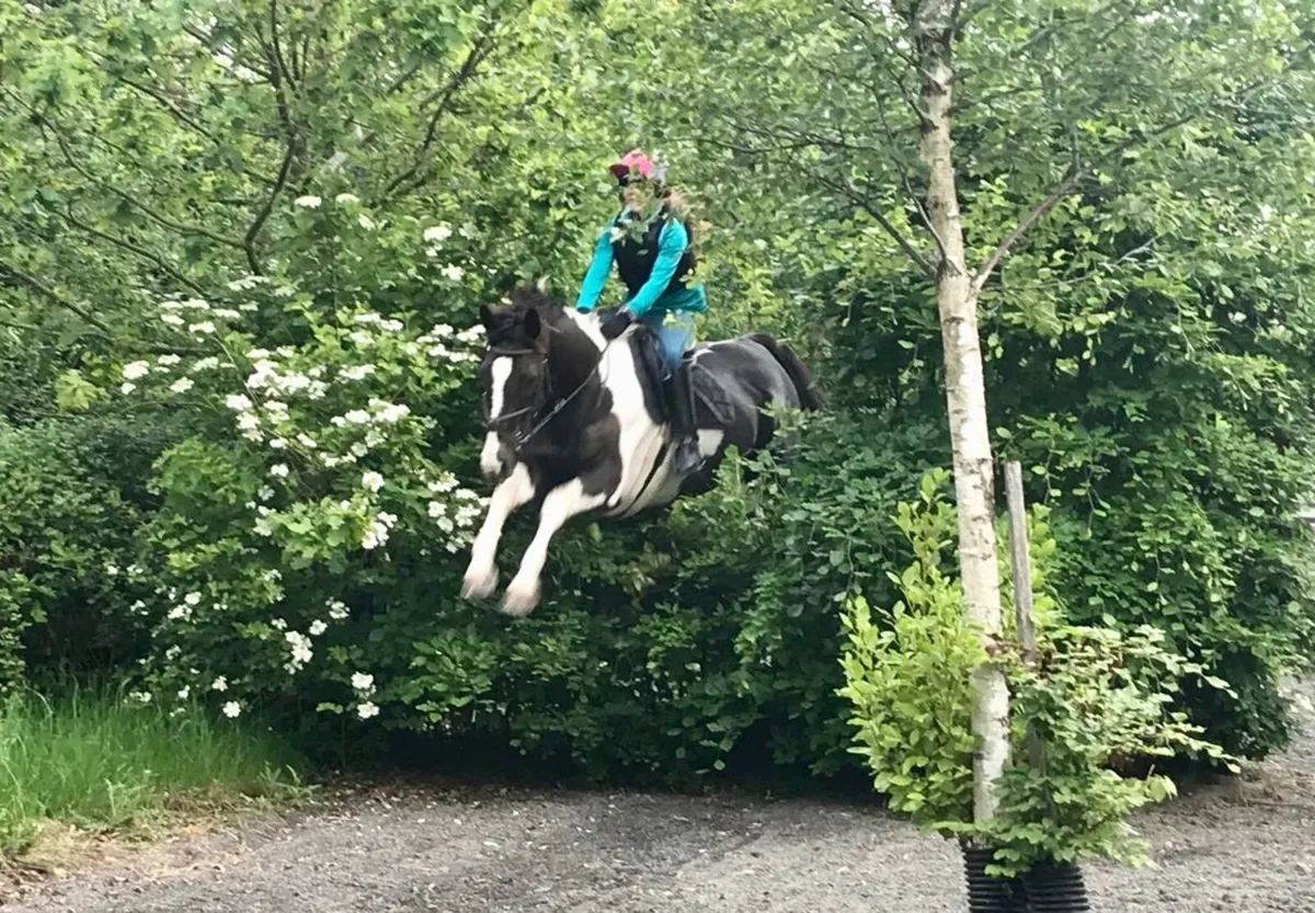 🌟 Exceptional All-Rounder   🌟 - Image 3