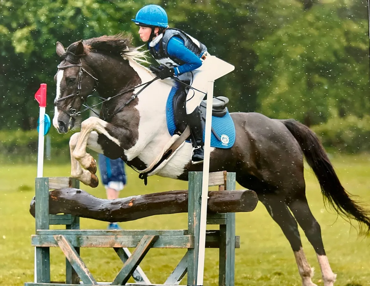 🌟 Exceptional All-Rounder   🌟 - Image 4