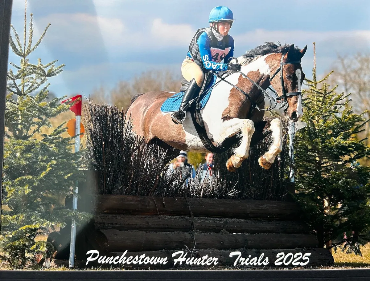 🌟 Exceptional All-Rounder   🌟 - Image 2