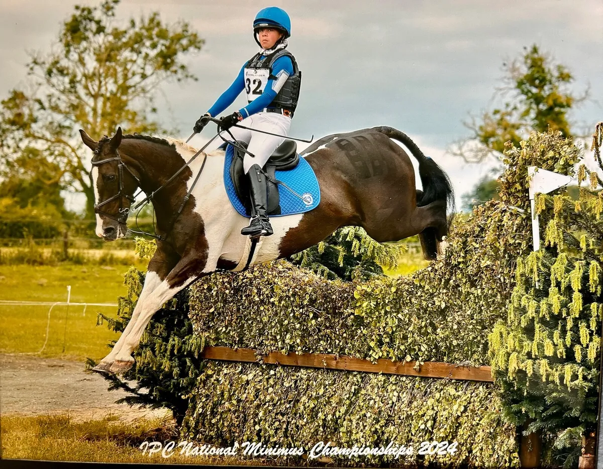 🌟 Exceptional All-Rounder   🌟 - Image 1