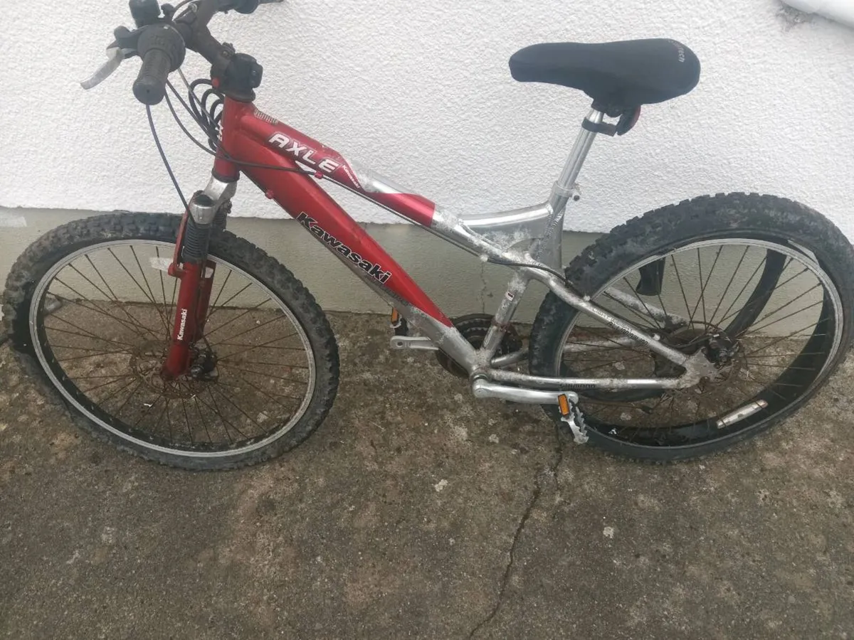 Mountain bike