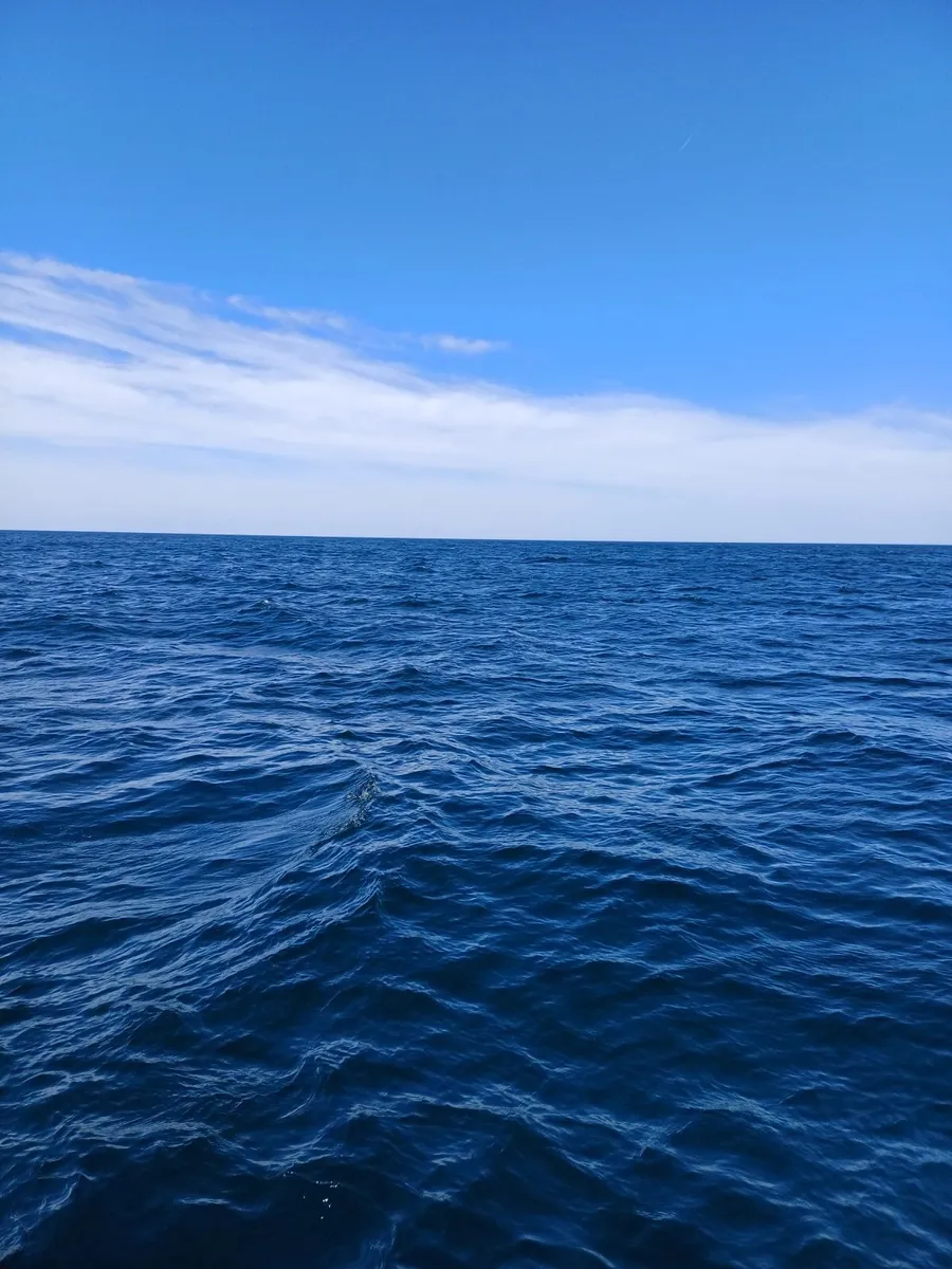 Sunday 14th June Deep Sea Fishing - Image 4