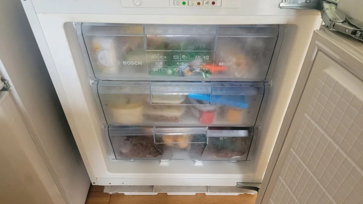 Bosch Deep Freeze - Image 1