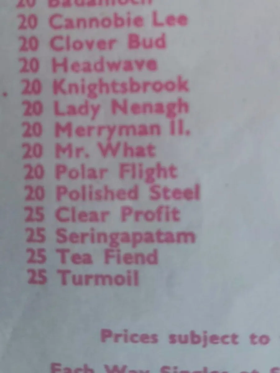 Rare Vintage 1960 Grand National Race Slip - Image 2