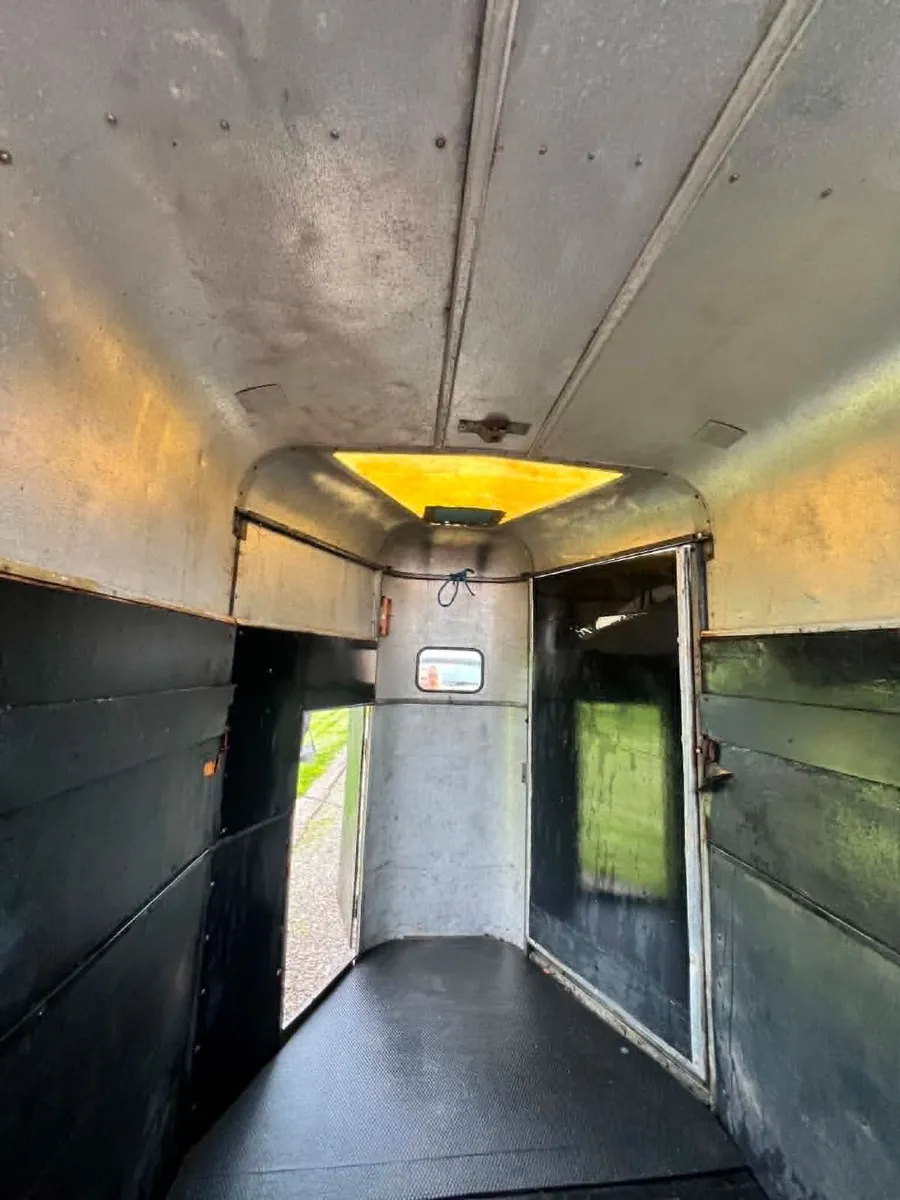 NEED GONE ASAP  ifor Williams Horse Box - Image 4