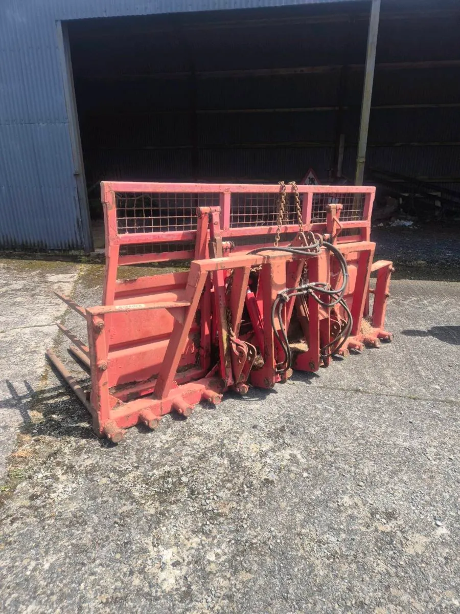Buckrake - Image 2