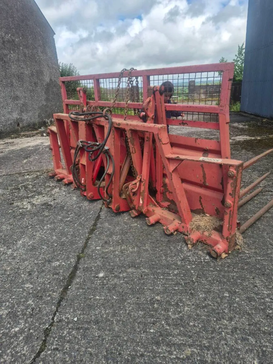 Buckrake - Image 3