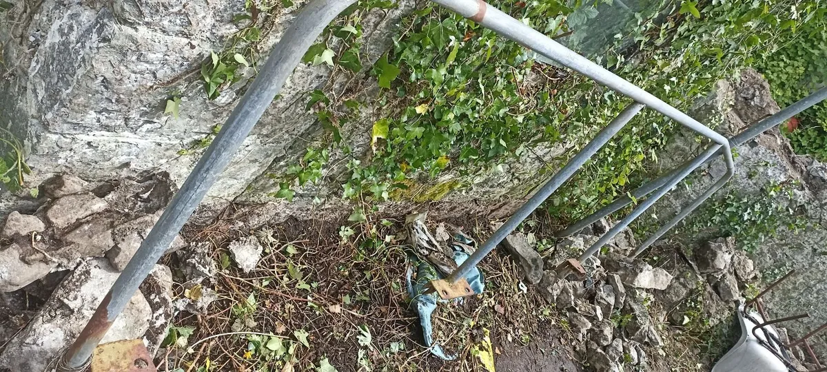 Mobility Handrail - Image 2