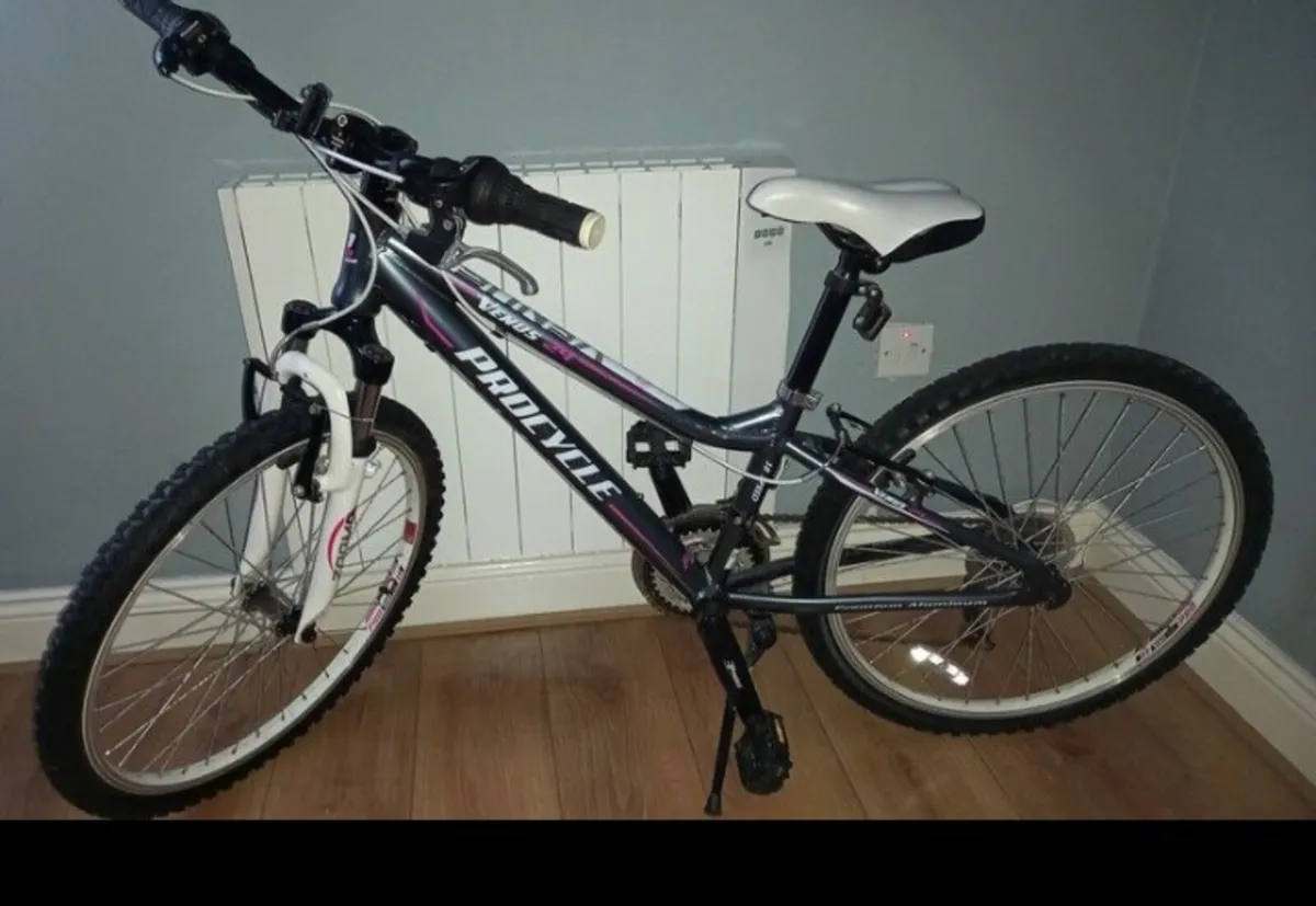 Bike - Image 1